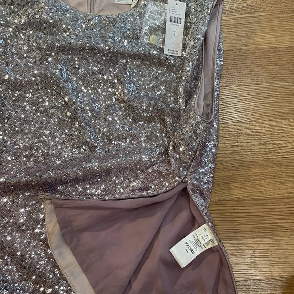 Anthropologie Fatima Sequin Top NWT 4 Ombre Pink - Picture 4 of 10